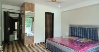 4 BHK Builder Floor For Rent in Sector 15 ii Gurgaon 6166192