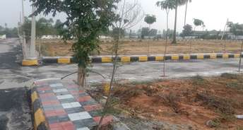  Plot For Resale in New Malakpet Hyderabad 6166335