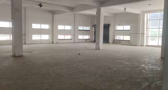 Commercial Warehouse 100000 Sq.Ft. For Rent In Sonipat Road Sonipat 6166804