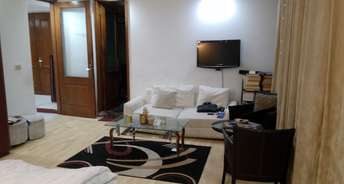 1 BHK Builder Floor For Rent in RWA Greater Kailash 2 Greater Kailash ii Delhi 6167884