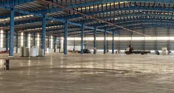 Commercial Warehouse 3 Acre For Resale In Bilaspur Gurgaon 6168381