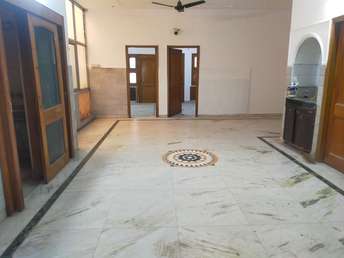 3.5 BHK Builder Floor For Rent in Sunder Vihar Delhi 6169519