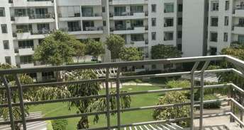 3 BHK Apartment For Rent in Parsvnath Exotica Sector 53 Gurgaon 6169502