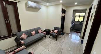 2 BHK Apartment For Rent in Lords Apartment Sector 19, Dwarka Delhi 6169601