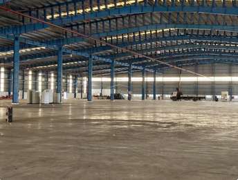 Commercial Warehouse 9 Acre For Resale In Bahatari Road Bilaspur 6168441
