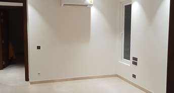 4 BHK Builder Floor For Rent in Green Park Delhi 6170412