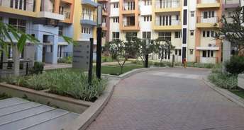 2 BHK Apartment For Rent in Samhita Serenity Doddanekundi Bangalore 6170719