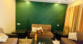 3 BHK Villa For Rent in Karia Konark Nagar Phase 1 Viman Nagar Pune 6170806