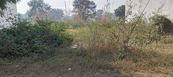 Plot For Resale in Sector 13 Bahadurgarh  6170831