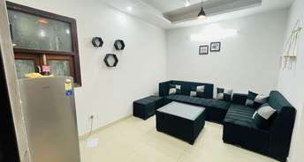 1 BHK Apartment For Rent in Saket Residents Welfare Association Saket Delhi 6171238