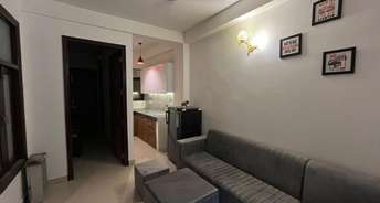 1 BHK Penthouse For Rent in Indira Enclave Neb Sarai Neb Sarai Delhi 6171258