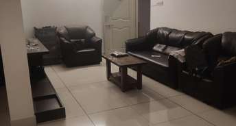 2 BHK Builder Floor For Rent in Ulsoor Bangalore 6171346
