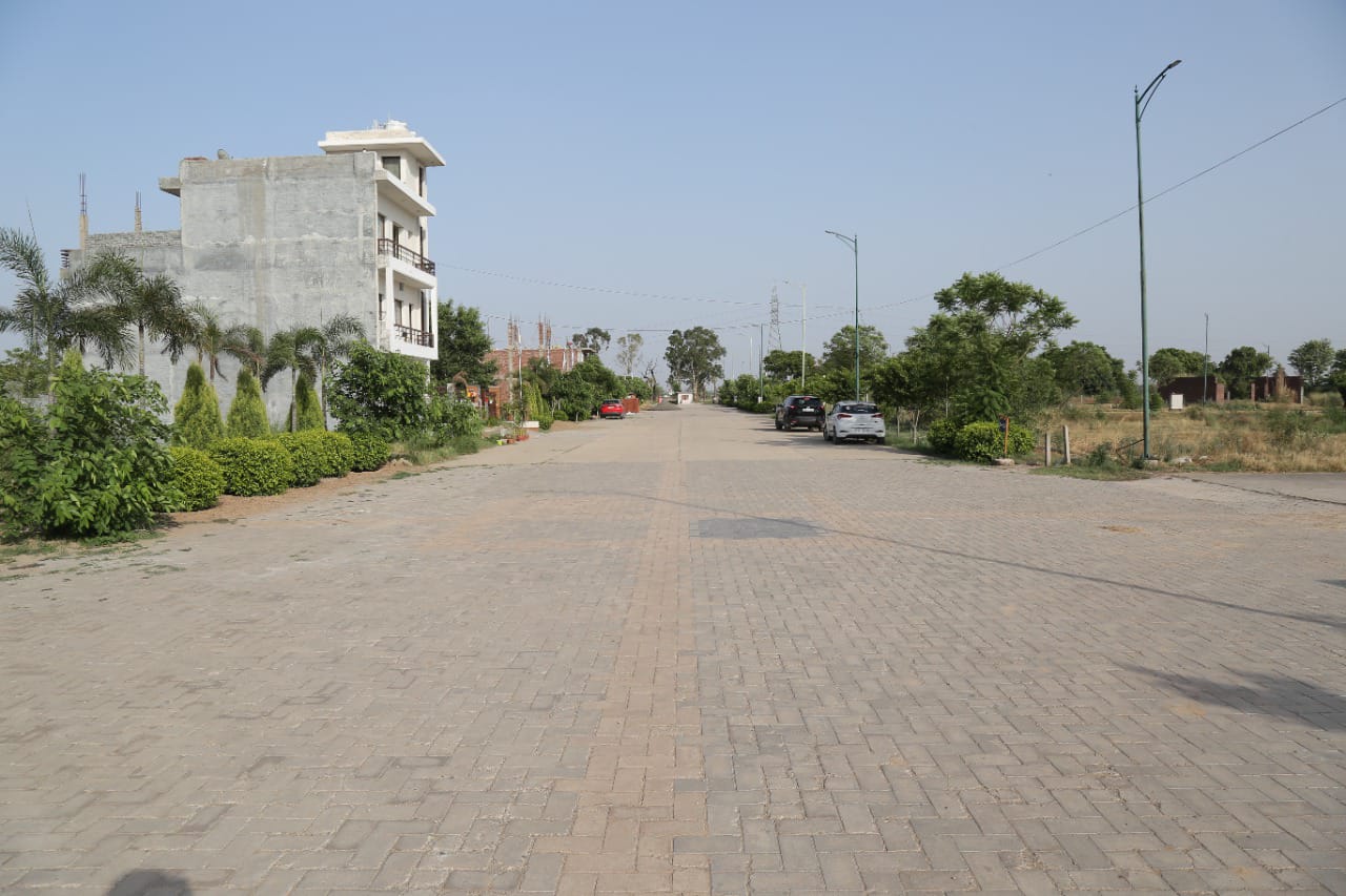 Resale 120 Sq.Yd. Plot in Aerocity Mohali 6171705
