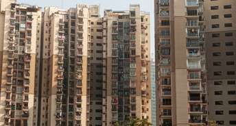 2 BHK Apartment For Rent in Logix Blossom County Sector 137 Noida 6172131