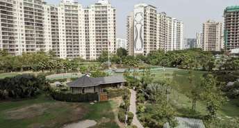 2 BHK Apartment For Rent in Central Park Resorts Sector 48 Gurgaon 6172227