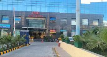 Commercial Office Space 1000 Sq.Ft. For Rent In Sector 49 Gurgaon 6172390