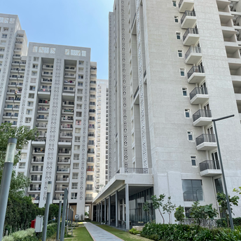 3 BHK Apartment For Resale in Mapsko Mount Ville Sector 79 Gurgaon 6172437