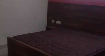 1 RK Apartment For Rent in Dlf City Phase 3 Gurgaon 6172489