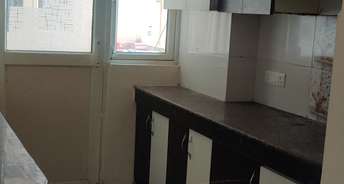 3 BHK Apartment For Rent in SVP Gulmohar Greens Phase II Gt Road Ghaziabad 6172779