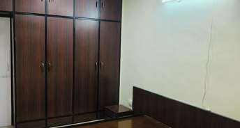 2 BHK Apartment For Rent in New Pushpa Vilas CHS Bandra West Mumbai 6173263