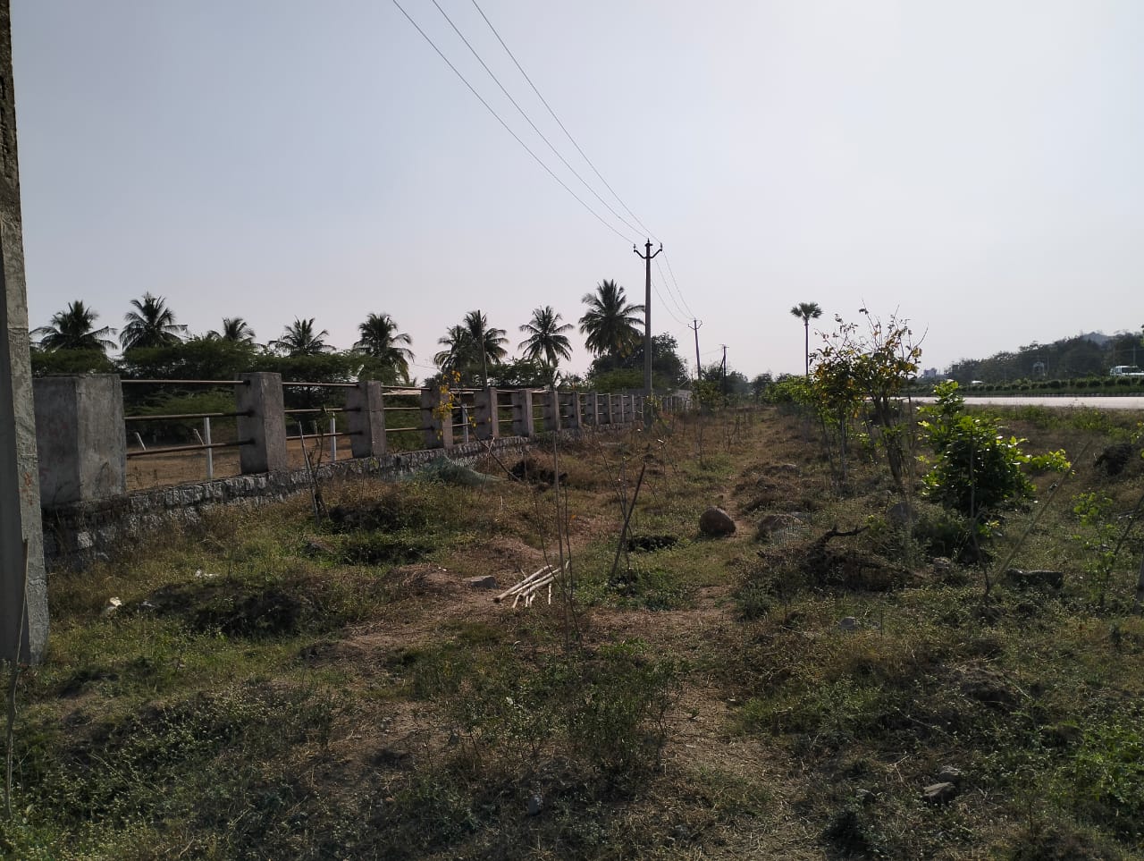 Plot For Resale in Indresham Hyderabad  6173659