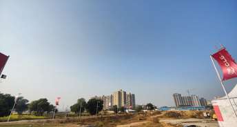  Plot For Resale in GLS Courtyard Sector 95 Gurgaon 6175642