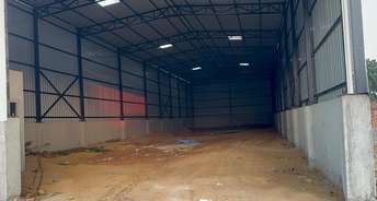 Commercial Warehouse 8500 Sq.Ft. For Rent In Sector 14 Palwal 6177109