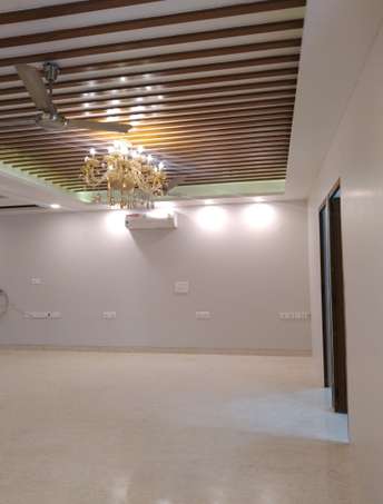 4 BHK Builder Floor For Rent in RWA Greater Kailash 1 Greater Kailash I Delhi 6177334