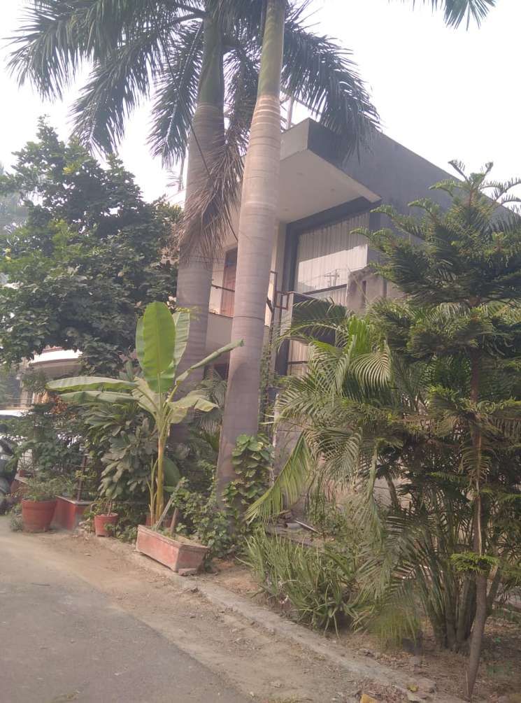 Authority Kothi / Independent House