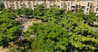 3 BHK Apartment For Resale in Sector 84 Faridabad 6178738