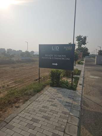  Plot For Resale in Sector 35 Gurgaon 6178904