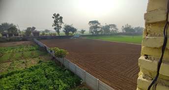 Commercial Land 11 Acre For Resale In Shikohpur Gurgaon 6178971
