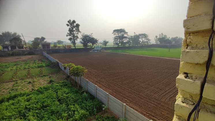 Commercial Land 11 Acre in Shikohpur Gurgaon