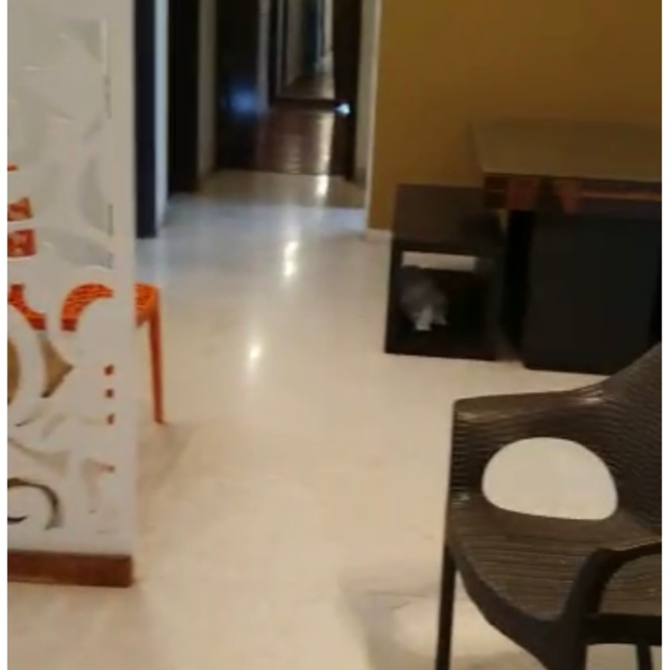 Living Room, tata-raheja-raisina-residency 3 Bedroom 2319 Sq.Ft. Apartment In Sector 59 Gurgaon 6179230