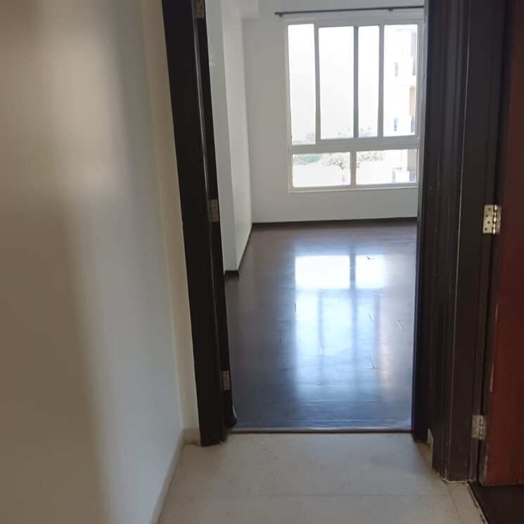 Room, emaar-the-palm-springs 4 Bedroom 3650 Sq.Ft. Apartment In Sector 54 Gurgaon 6179341