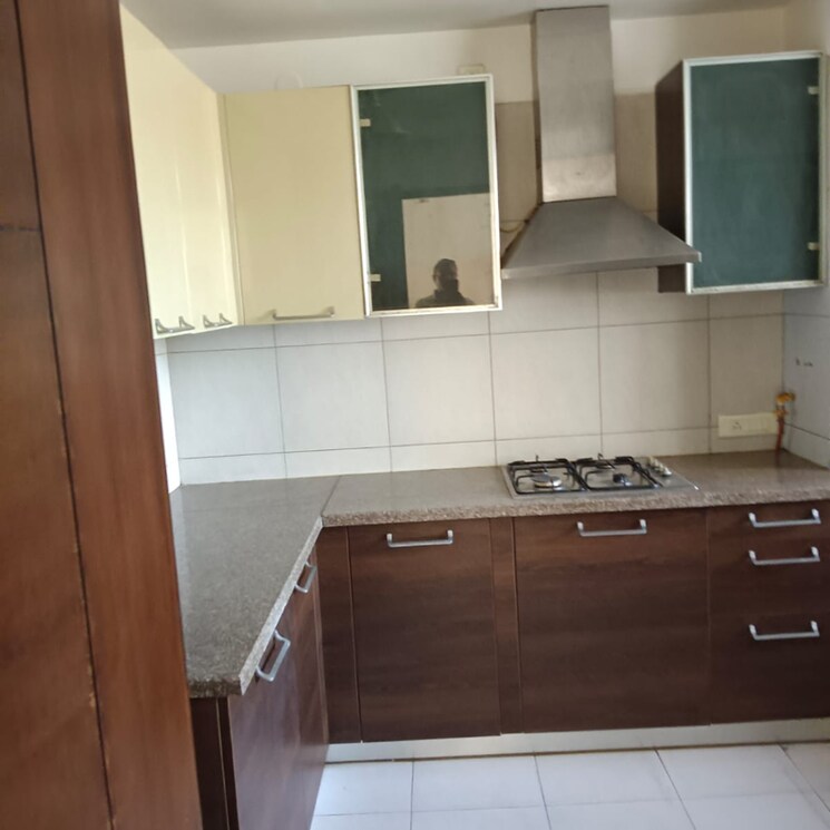 Kitchen, emaar-the-palm-springs 4 Bedroom 3650 Sq.Ft. Apartment In Sector 54 Gurgaon 6179341