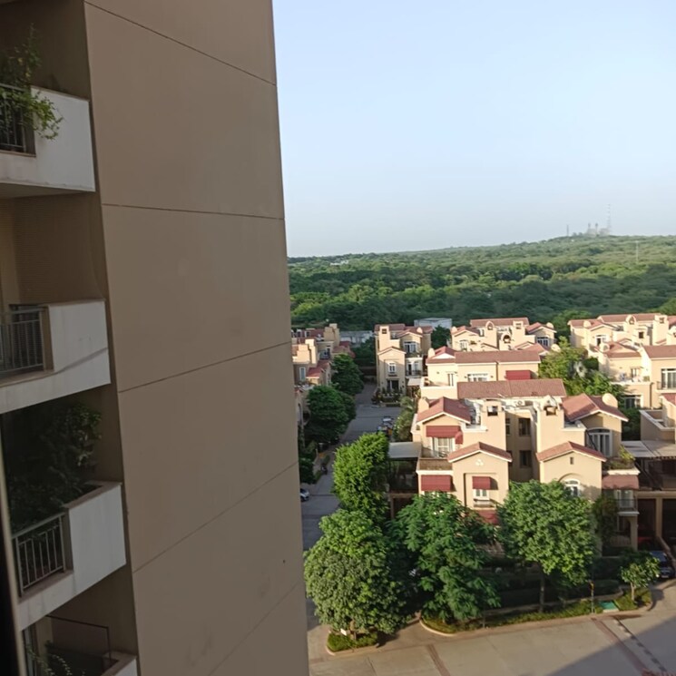 Exterior View, emaar-the-palm-springs 4 Bedroom 3650 Sq.Ft. Apartment In Sector 54 Gurgaon 6179341