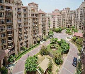 3 BHK Apartment For Rent in DLF Beverly Park I Sector 28 Gurgaon 6179450