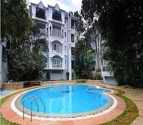 4 BHK Penthouse For Rent in Embassy Woods Vasanth Nagar Bangalore 6179679