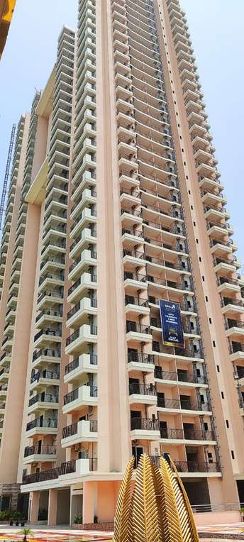 3 BHK Apartment For Resale in SKA Metro Ville Gn Sector Eta ii Greater Noida  6180105