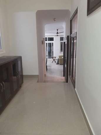 3 BHK Builder Floor For Rent in Greater Kailash Delhi 6180551