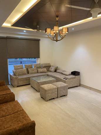 4 BHK Builder Floor For Rent in C Block RWA Kailash Colony Greater Kailash I Delhi 6180845