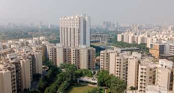 1 BHK Apartment For Resale in Lodha Casa Rio Gold Dombivli East Thane 6180819