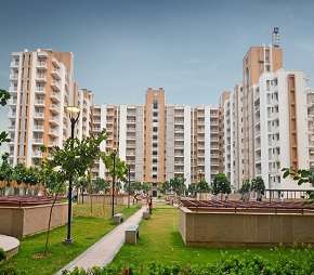 3 BHK Apartment For Resale in Puri Pratham Sector 84 Faridabad 6180928