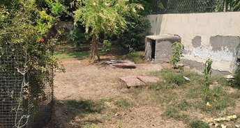  Plot For Resale in Sector 21b Faridabad 6180926