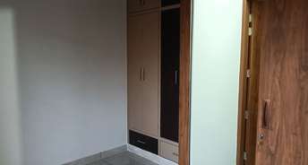 2 BHK Apartment For Rent in Sector 17 Panipat 6181214