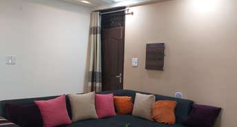 3 BHK Apartment For Rent in Sector 126 Mohali 6181278