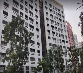 4 BHK Apartment For Rent in Raheja Gardens Aspen Teen Hath Naka Thane 6181708