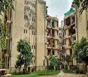 1 BHK Apartment For Resale in Sector 14 Dwarka Delhi  6181783