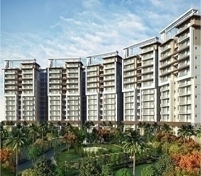 3 BHK Apartment For Resale in Maya Green Lotus Saksham Patiala Road Zirakpur  6182148